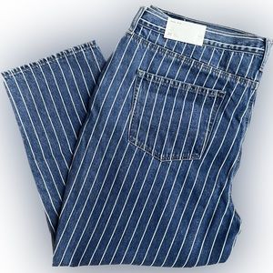 American Eagle | Striped Mom Jean | Size 20 Short